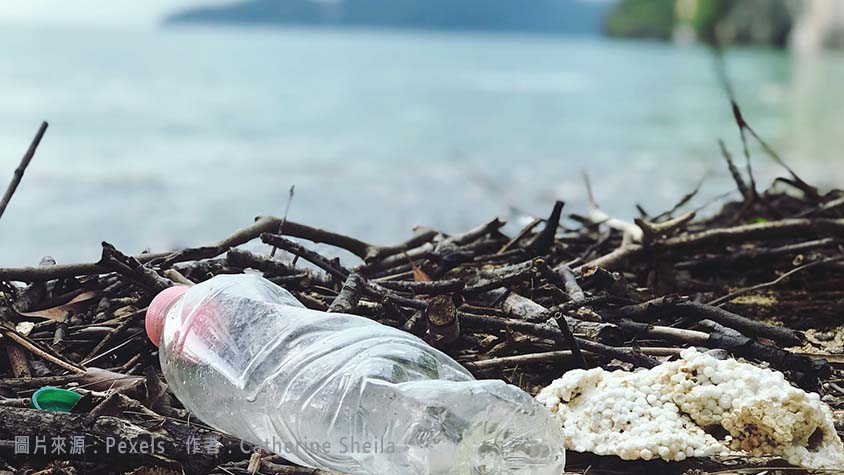 Pexels海洋垃圾