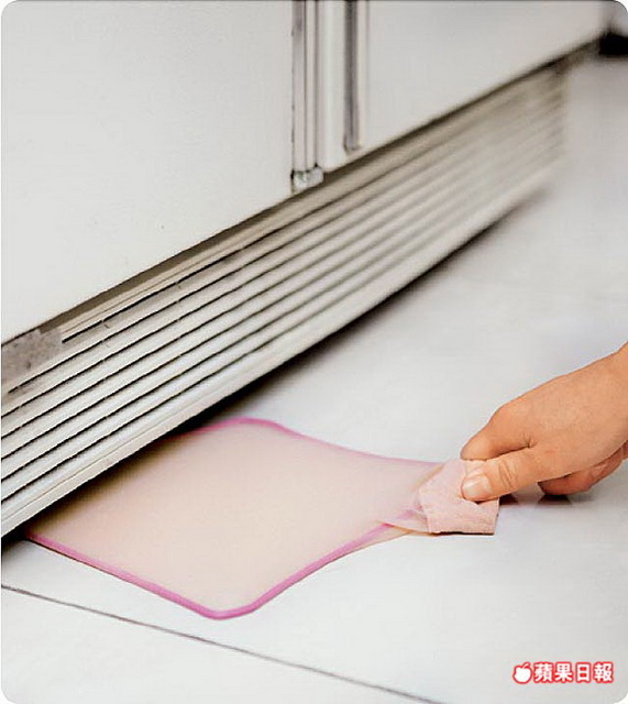 蘋果日報 衣架絲襪