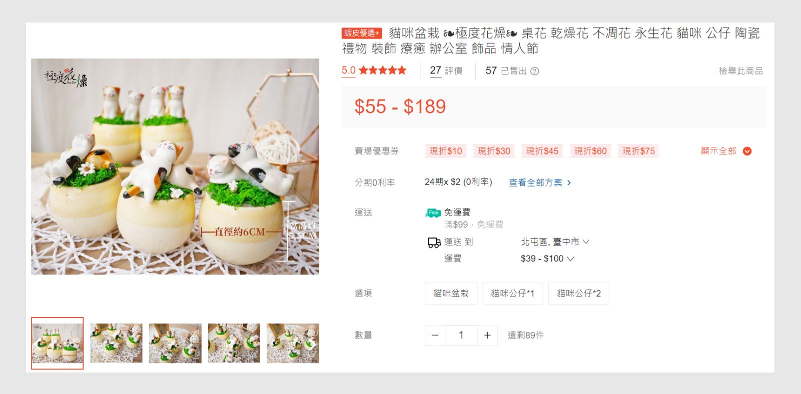 盆栽和貓咪的結合療癒度加倍