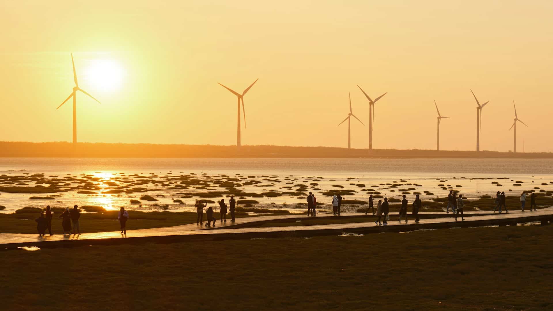 高美濕地的夕陽氣氛非常好
