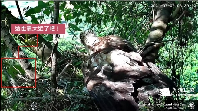 猴子靠很近 猴子靠很近