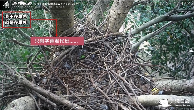 常常只剩字幕君代班