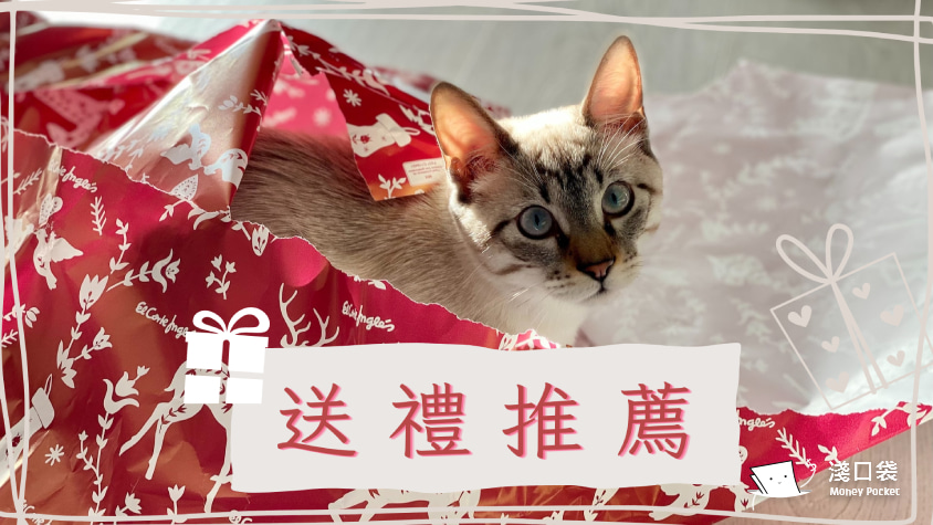 ☺ 療癒系送禮推薦 ☺ 餐碟禮盒、招財貓、盆栽…各款貓咪造型雜貨，趣味你的居家生活時刻